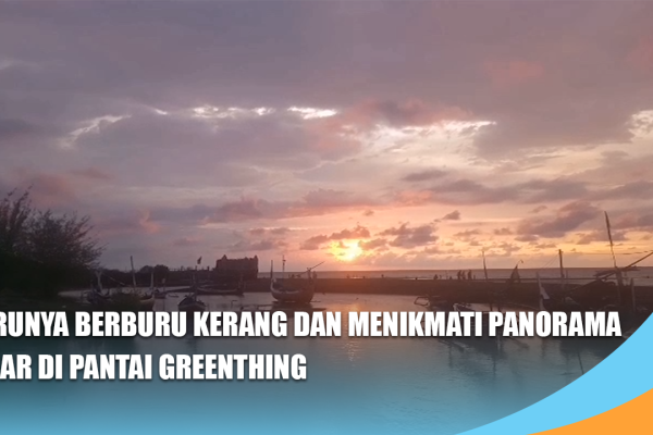 Serunya Berburu Kerang dan Menikmati Panorama Fajar di Pantai Greenthing
