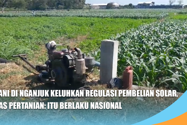 Petani di Nganjuk Keluhkan Regulasi Pembelian Solar, Dinas Pertanian: Itu Berlaku Nasional